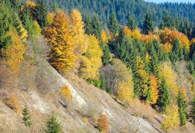 Sonniger Herbstgebirgswald am Berghang