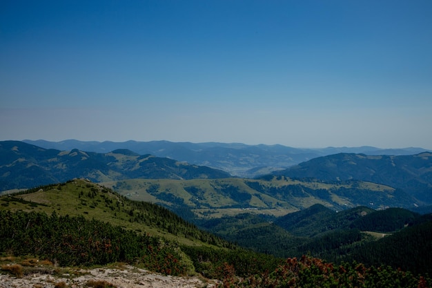 Sonniger Morgentag ist in Berglandschaft Karpaten Ukraine Europa Schönheitswelt Große Auflösung