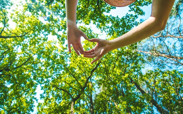 Sonniger Tag Bäume und Himmel Hände Herz Selektiver Fokus