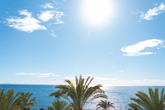 Sonniger warmer Tag mit Meer und Palmen blauer Himmel mit Sonne Urlaub und Reisen