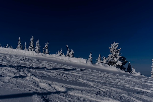 Sonniger Wintermorgen in den Bergen von Sheregesh auf der Skispur x9