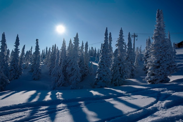 Sonniger Wintermorgen in den Bergen von Sheregesh auf der Skispur x9