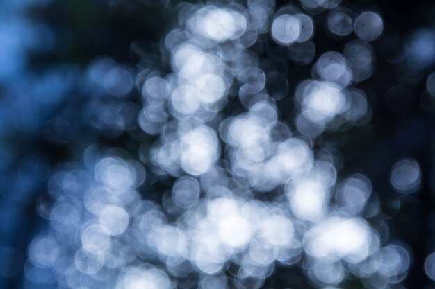 Sonniges Lichtbokeh durch die Zweige der Bäume