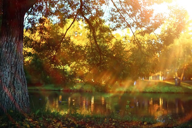 Sonniges Wetter im Herbstpark