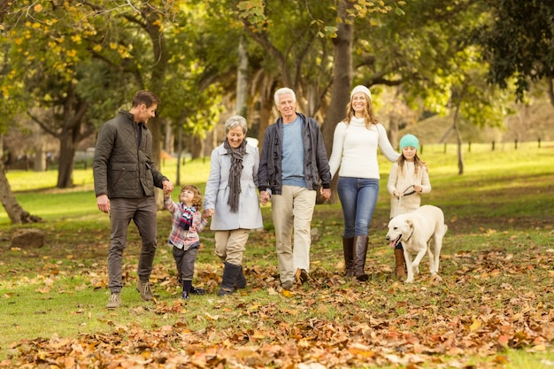 Sonriendo familia extendida caminando juntos