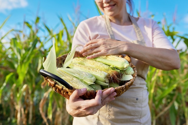 Sonriente agricultora con cesta de maíz recién cosechado fondo de campo de maíz agricultura jardinería cosecha concepto de comida natural orgánica saludable