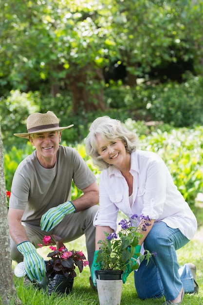 Sonriente pareja dedicada a la jardinería