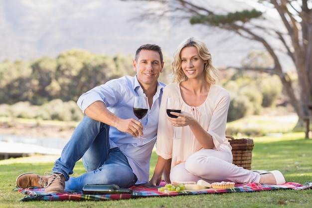 Sonriente pareja sentada en una manta de picnic y bebiendo vino