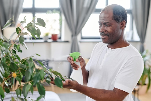 Sonriente pensionista afroamericano refrescantes hojas de planta doméstica