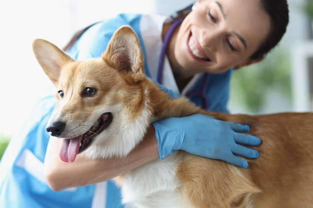 Foto sonriente perro acariciando veterinario femenino en cita médica servicios veterinarios
