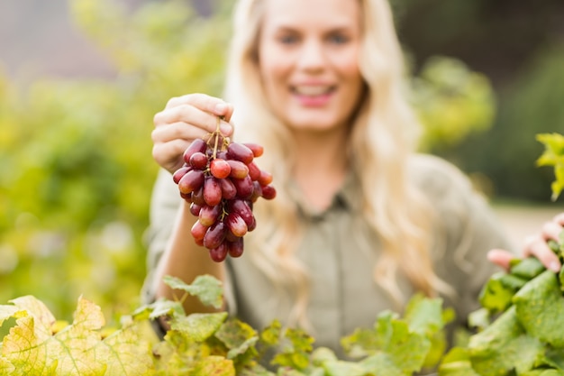 Sonriente rubia viticultor sosteniendo una uva roja