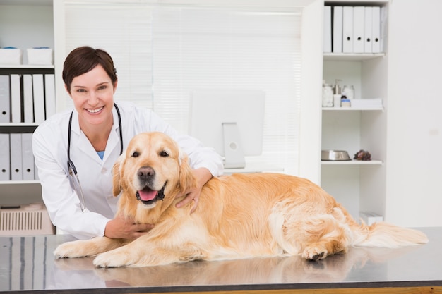 Sonriente veterinario examinando un lindo perro