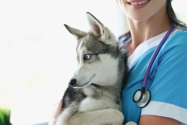 Foto sonrisa femenina veterinaria y sostenga lindo husky en brazos