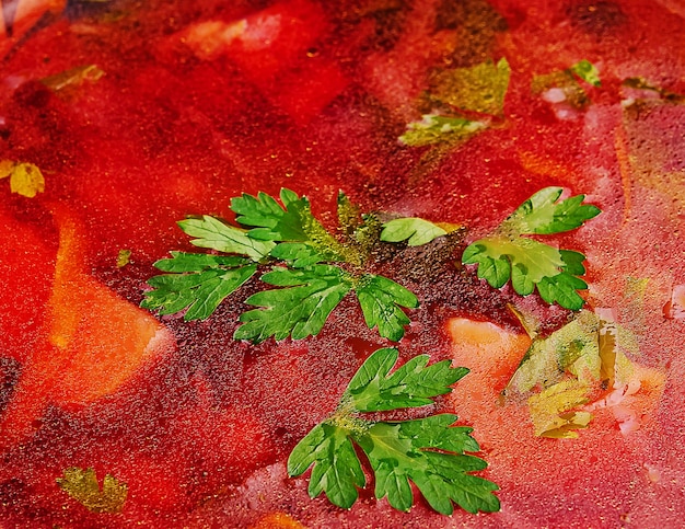 Sopa borscht roja ucraniana de cerca