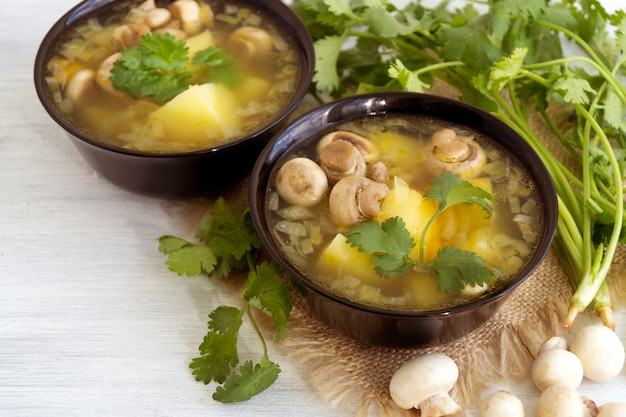 Sopa de champiñones hecha en casa de la dieta en un fondo ligero.