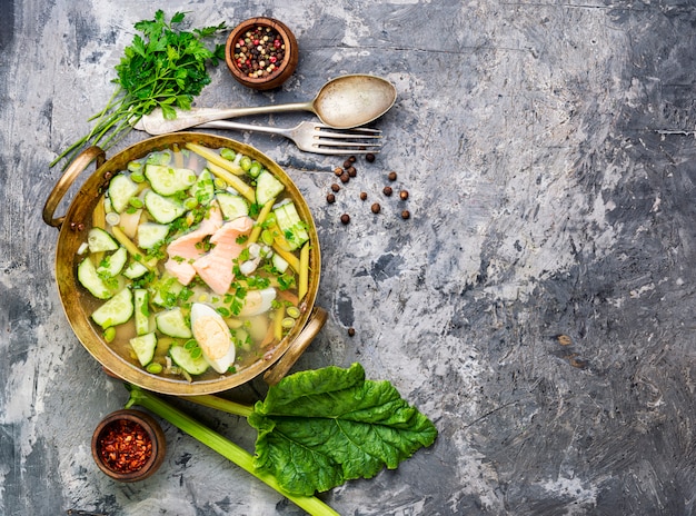 Sopa com ruibarbo e peixe