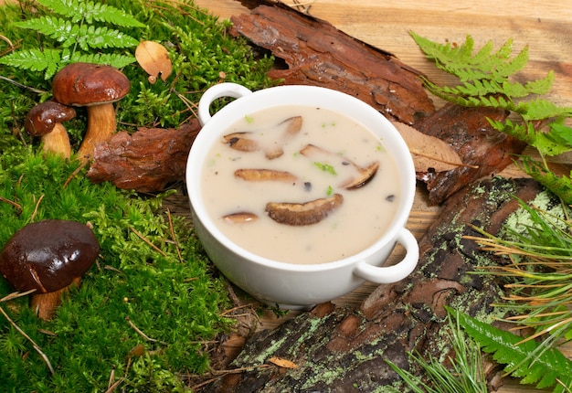 Sopa Creme de Cogumelos com Porcini