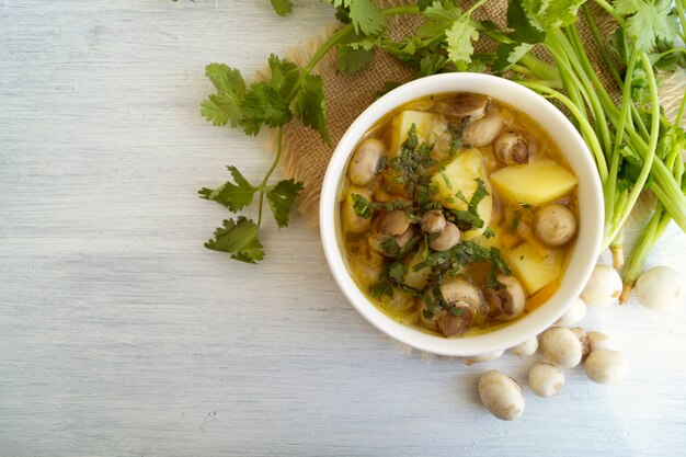 Sopa de cogumelo caseiro da dieta em um fundo claro.