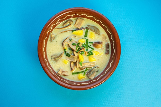 sopa de cogumelos ensopado receita clássica de prato nacional tradicional com cogumelos porcini cozinha ucraniana