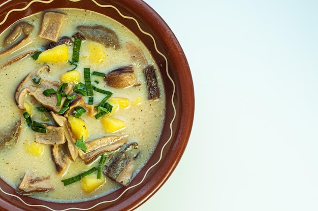 sopa de cogumelos ensopado receita clássica de prato nacional tradicional com cogumelos porcini cozinha ucraniana