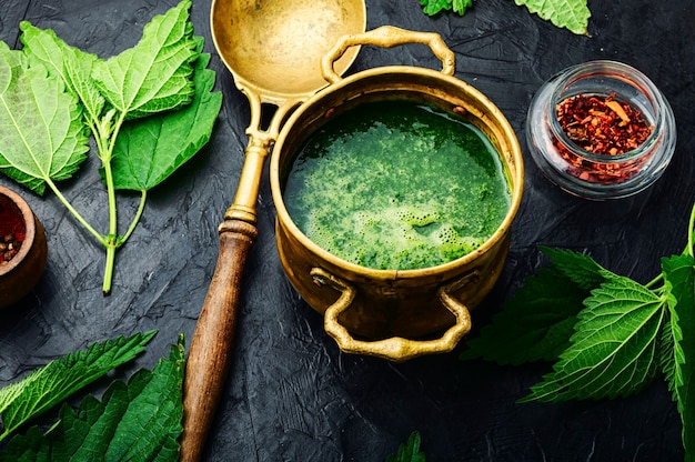 Sopa de urtiga verde verão. sopa de urtiga fresca. sopa cremosa.