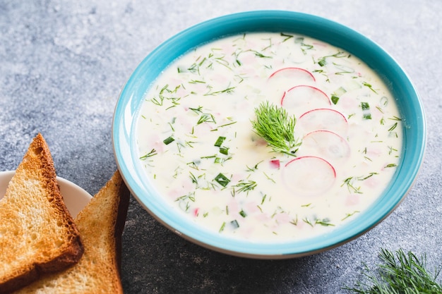 Sopa fria de iogurte de verão com batata e rabanete pepino e salsicha okroshka sopa fria de verão