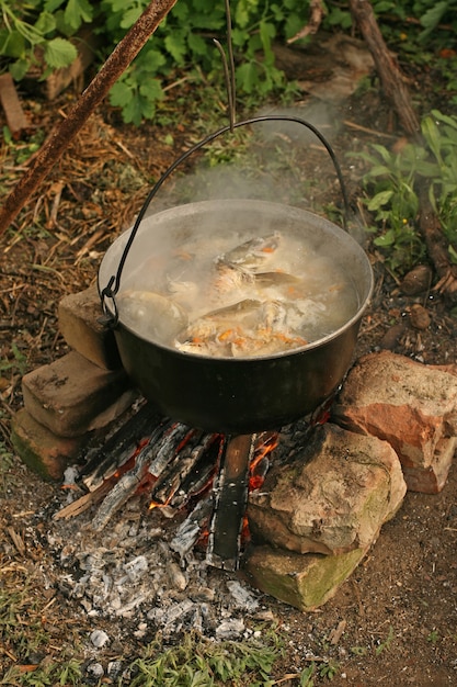 Sopa de pescado rusa UHA