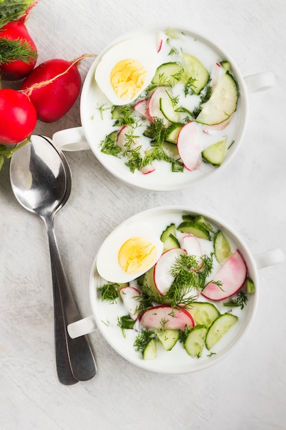 Sopa rusa tradicional fría con kéfir, pepino, rábano, huevo y perejil