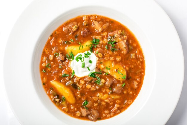 Sopa tradicional rusa rassolnik con pepinos encurtidos, cebada, carne decorada con vegetación en una placa blanca.