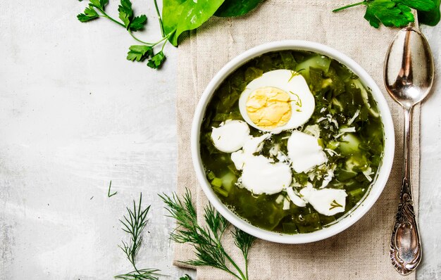 Sopa tradicional russa com carne azeda e ovos chamados vista superior de borsch verde