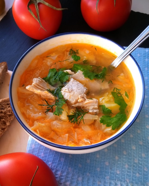 Foto sopa de verduras rusa