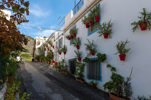 Sopalmo in Almeria Spanien schmückt seine Straßen