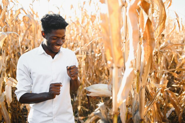 Soporte de agricultores africanos en el campo de la plantación de maíz