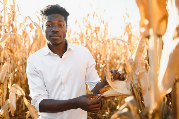 Soporte de agricultores africanos en el campo de la plantación de maíz