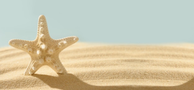 Soporte de estrellas de mar en la arena en la sombra soleada Vacaciones de verano vacaciones en el mar Banner