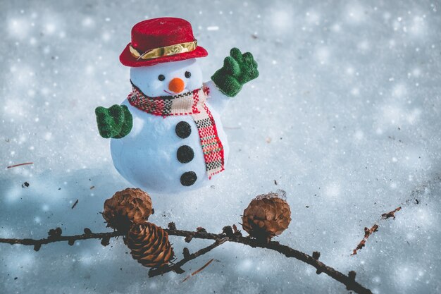 Soporte del muñeco de nieve en la pila de nieve con el cono del pino. El sol de la mañana se está calentando en invierno.