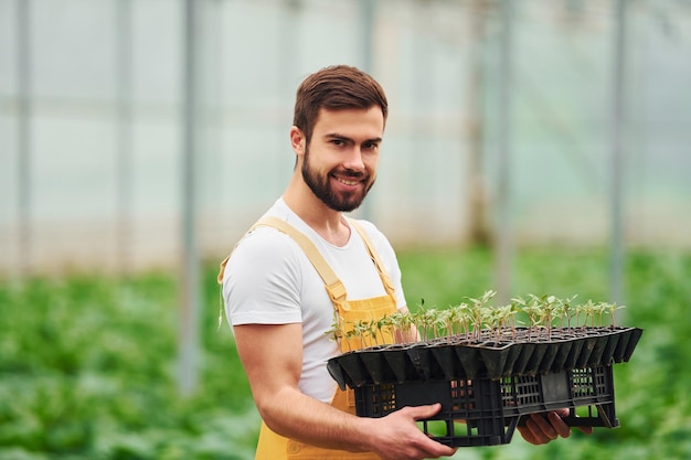 Con soporte negro para las plantas en las manos Los jóvenes trabajadores de invernadero con uniforme amarillo tienen trabajo dentro del invernadero