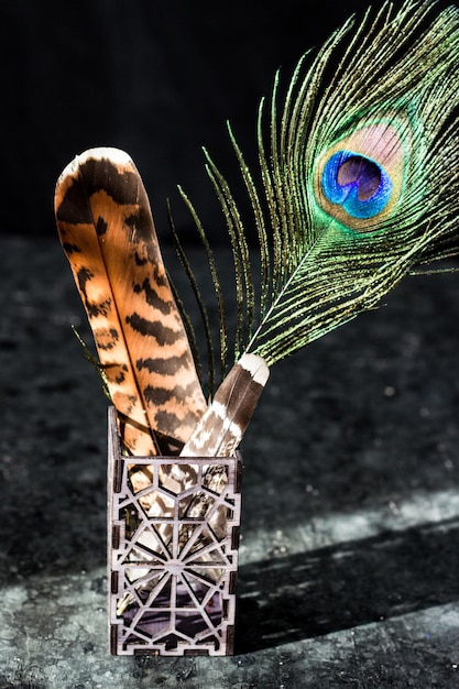 Foto soporte de plumas de pájaro grande en un vaso estampado