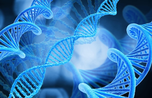 Soportes de ADN Biología , Gentic