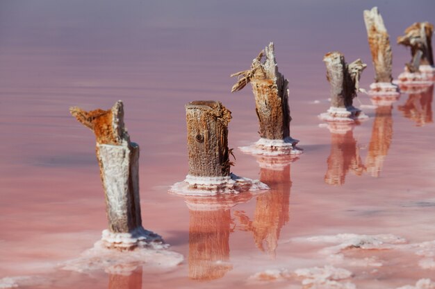 Foto soportes de madera antiguos comidos por la sal marina sobresalen por encima de la superficie del agua del exclusivo lago de sal rosa