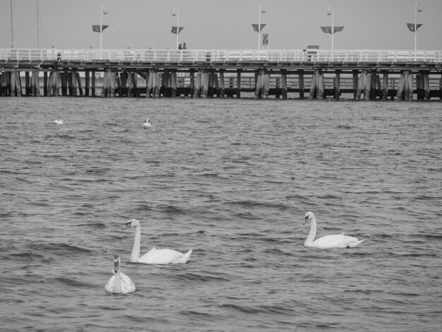 Sopot, Polónia