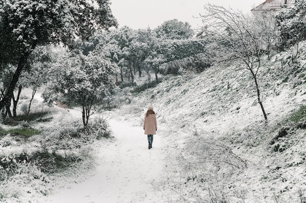 Sorglose Frau im warmen Mantel und im Hut, die entlang Weg im Wald gehen, während Natur im Winter genießen