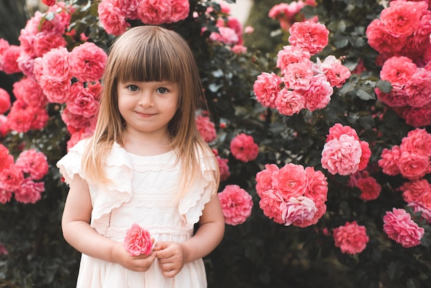 Sorridente linda garota de 45 anos segura flor rosa rosa sobre arbusto florescente no jardim