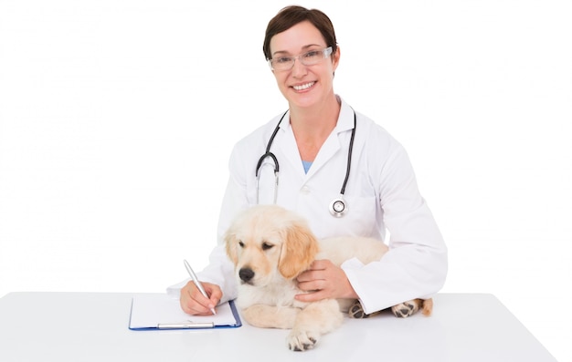 Sorridente veterinário examinando um cão fofo