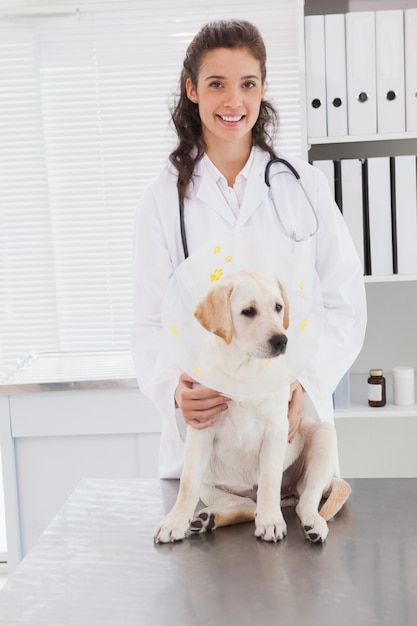Sorridente veterinário examinando um cão fofo