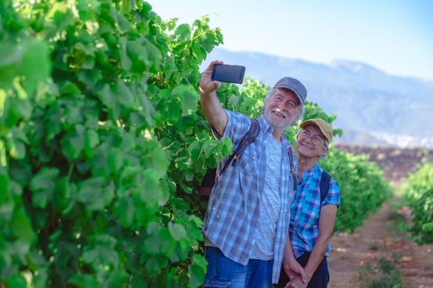 Sorrindo casal sênior de turistas em tenerife viajam visitando vinhedos andando entre videiras tirando uma selfie com telefone pessoas de férias na paisagem do vale de verão