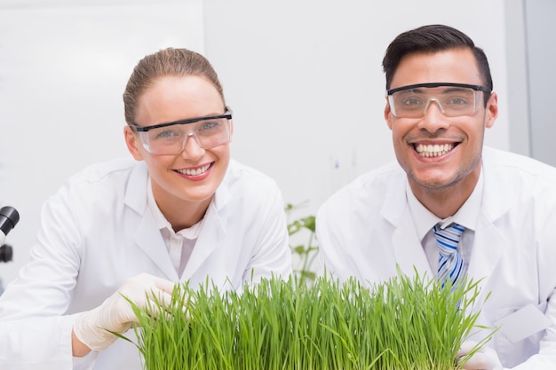 Sorrindo cientistas examinando plantas