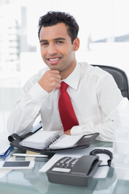 Sorrindo, jovem, homem negócios, com, diário, sentando, em, escritório