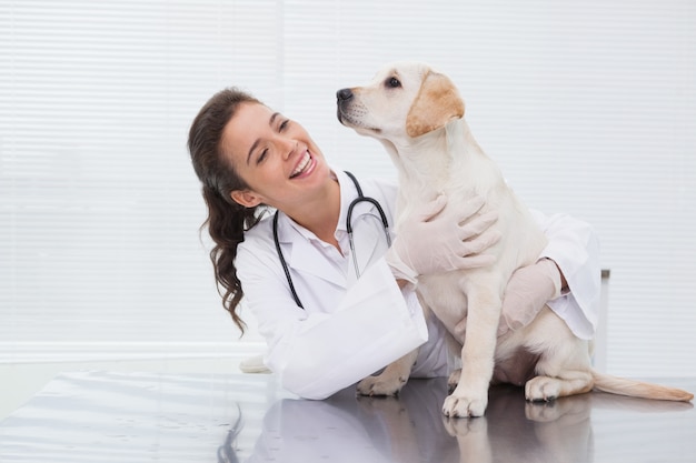 Sorrindo, veterinário, examinando, um, cute, cão