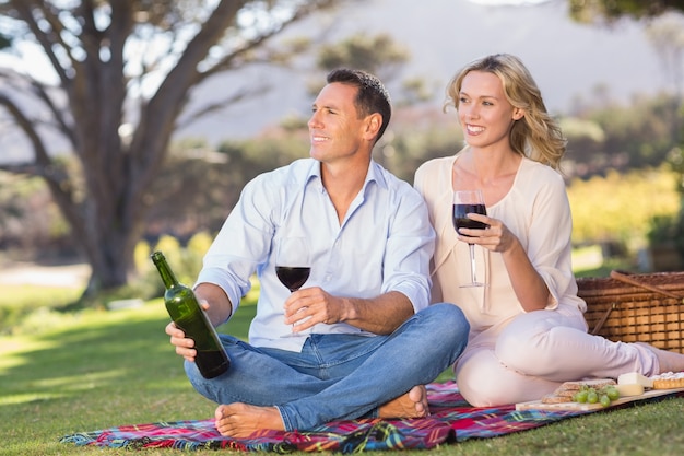 Sorrir par beber vinho e apreciar a vista